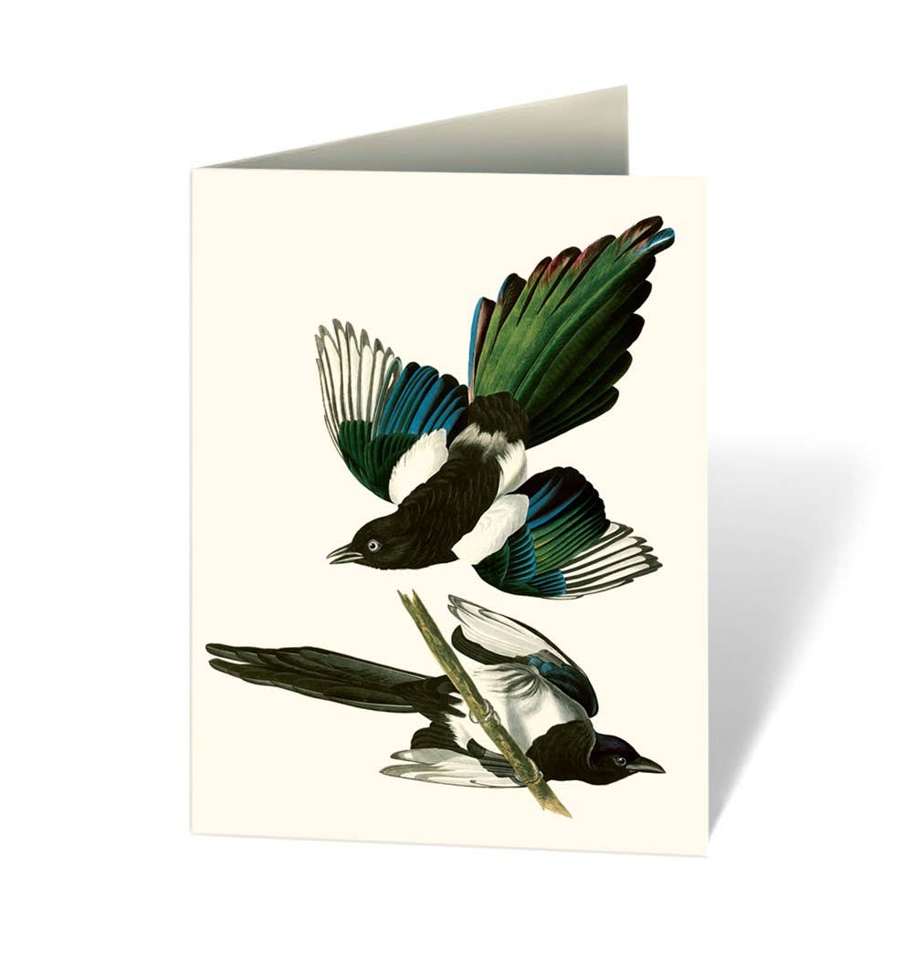 Audubon's Birds of America Notecard Set