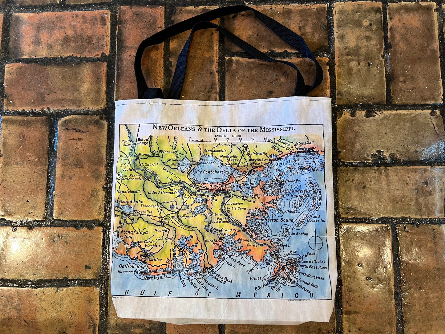 Beautiful hand painted reproduction of Bartholemew's Mississippi Delta 1906 map on a tote bag