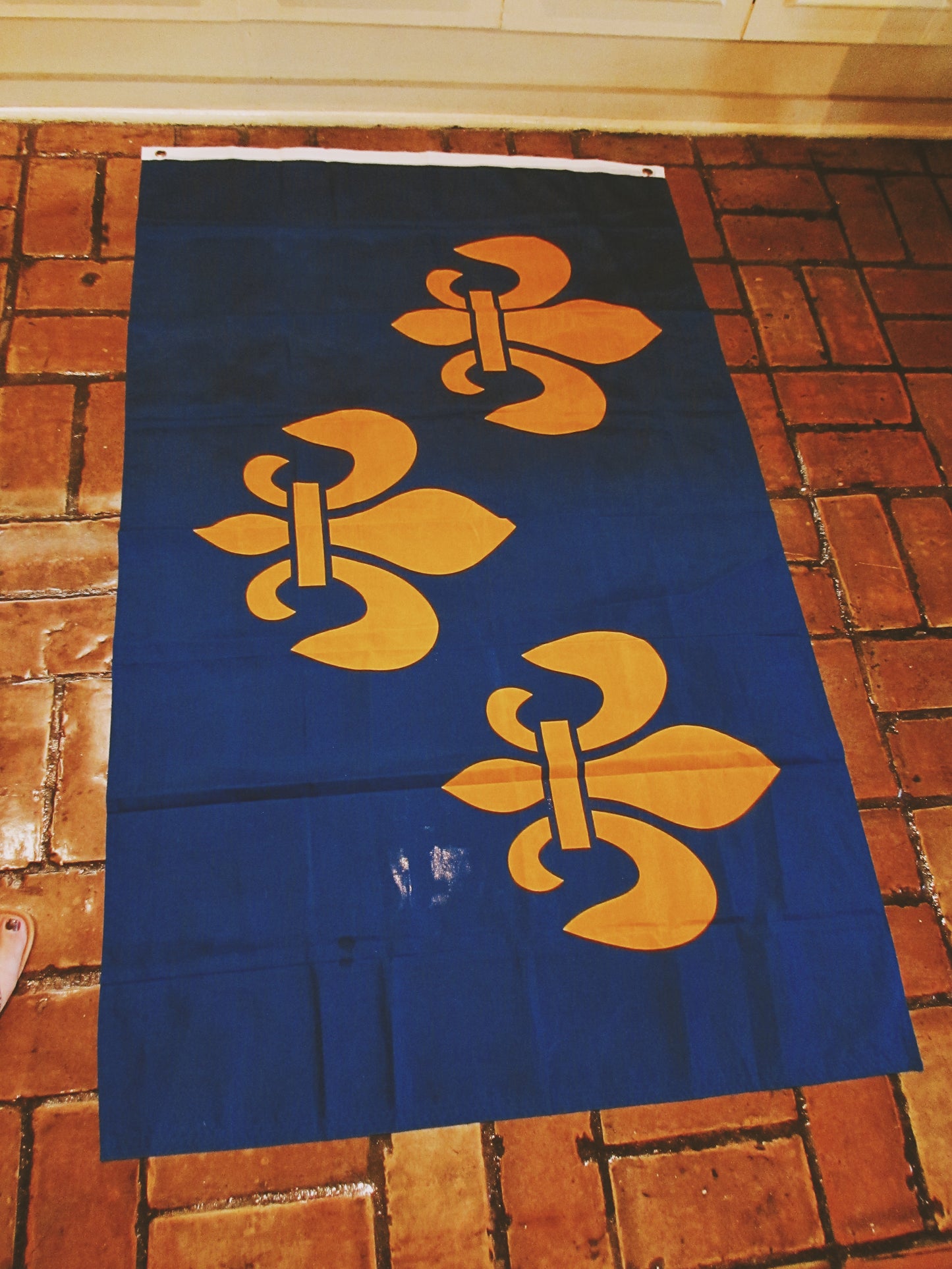 Bandera de tres flores de lis