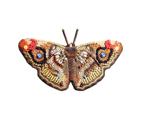 Apatura Iris Butterfly