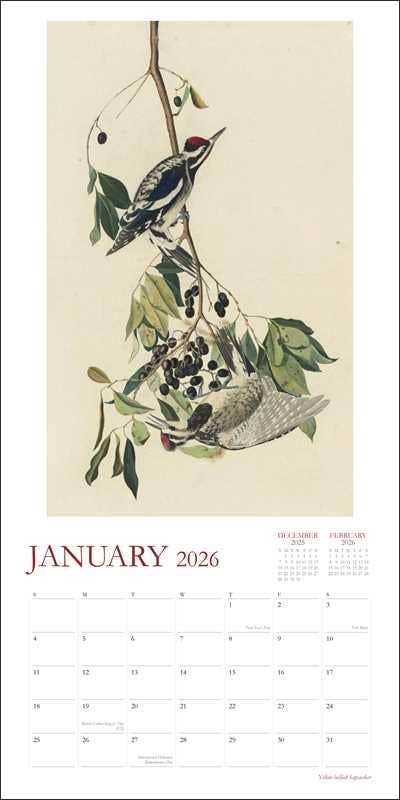 Audubon's Watercolors 2026 Wall Calendar