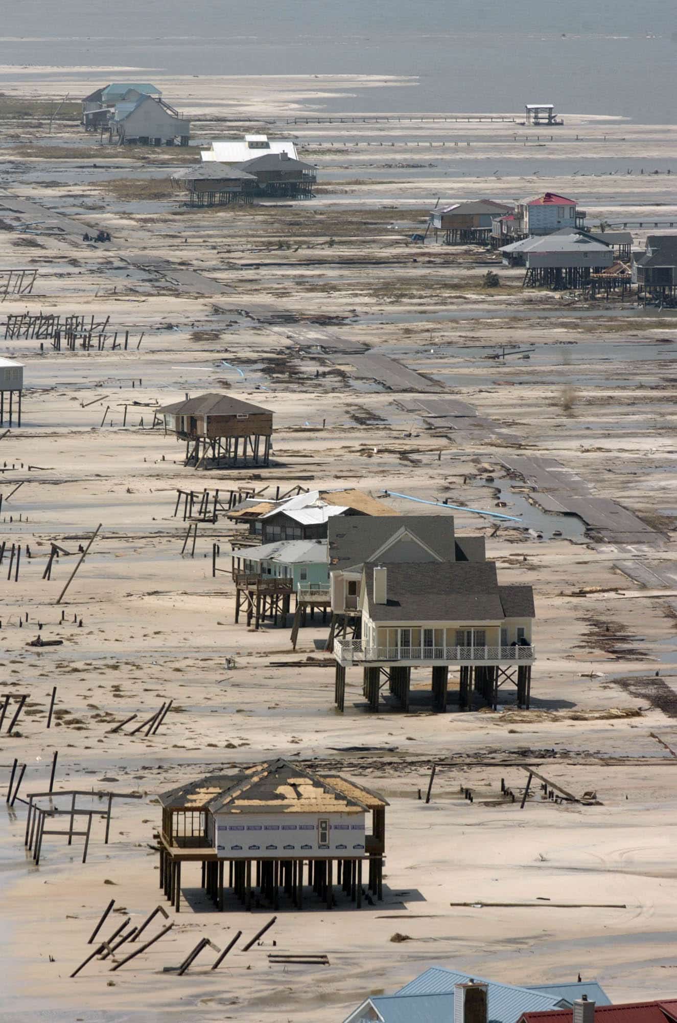 Katrina's Legacy: The Hurricane That Changed America (Pre-Order)