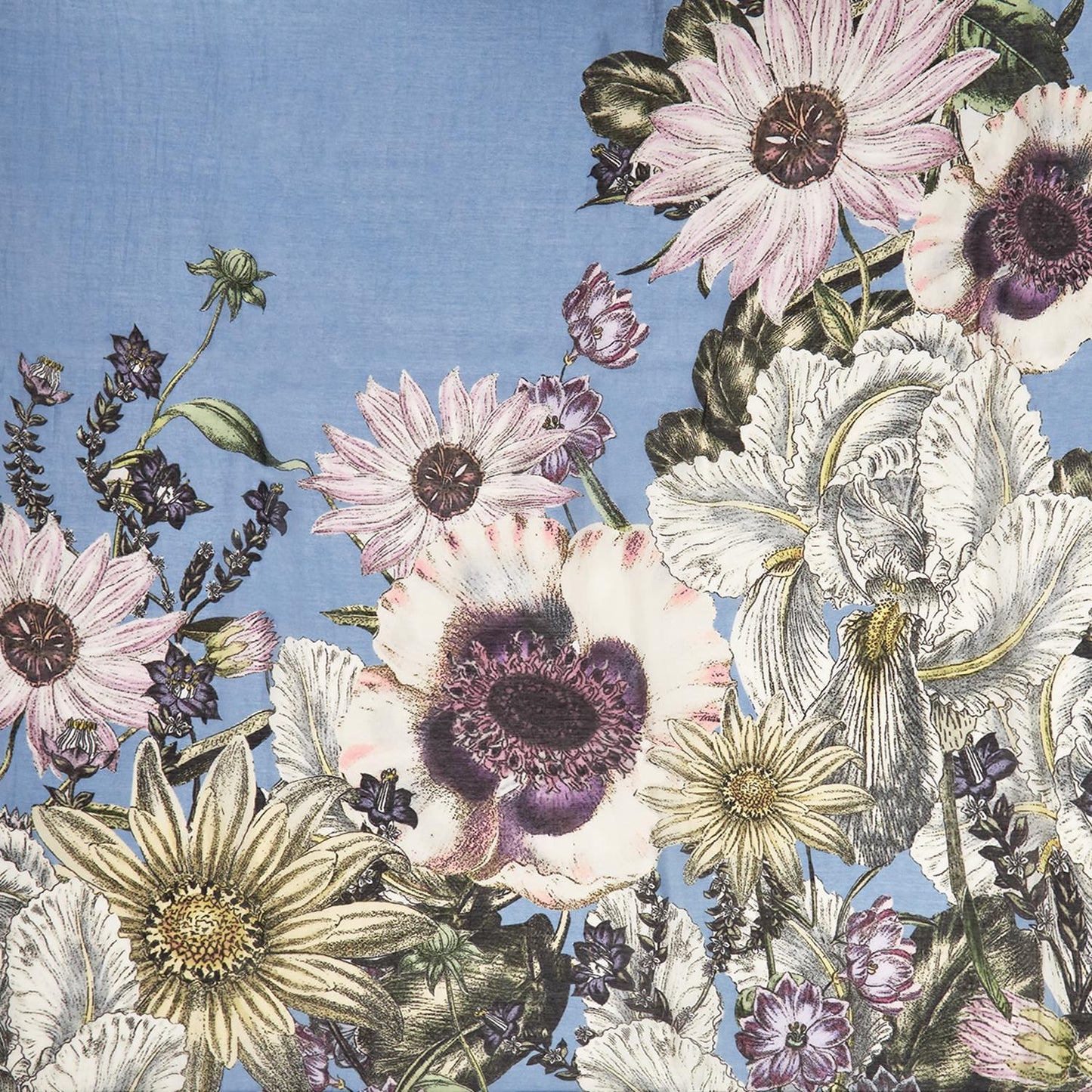 Daisy Cornflower Blue Scarf