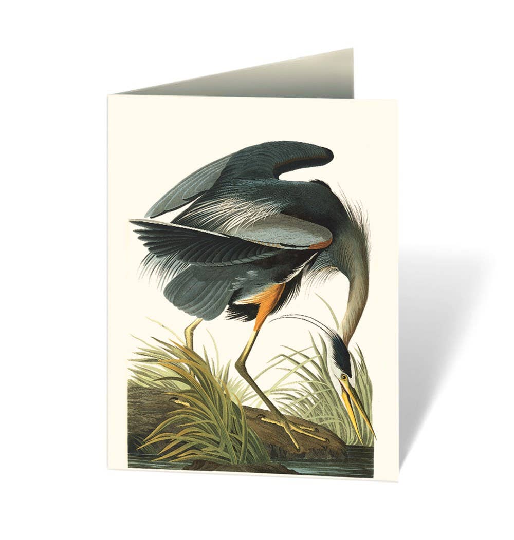 Audubon's Birds of America Notecard Set