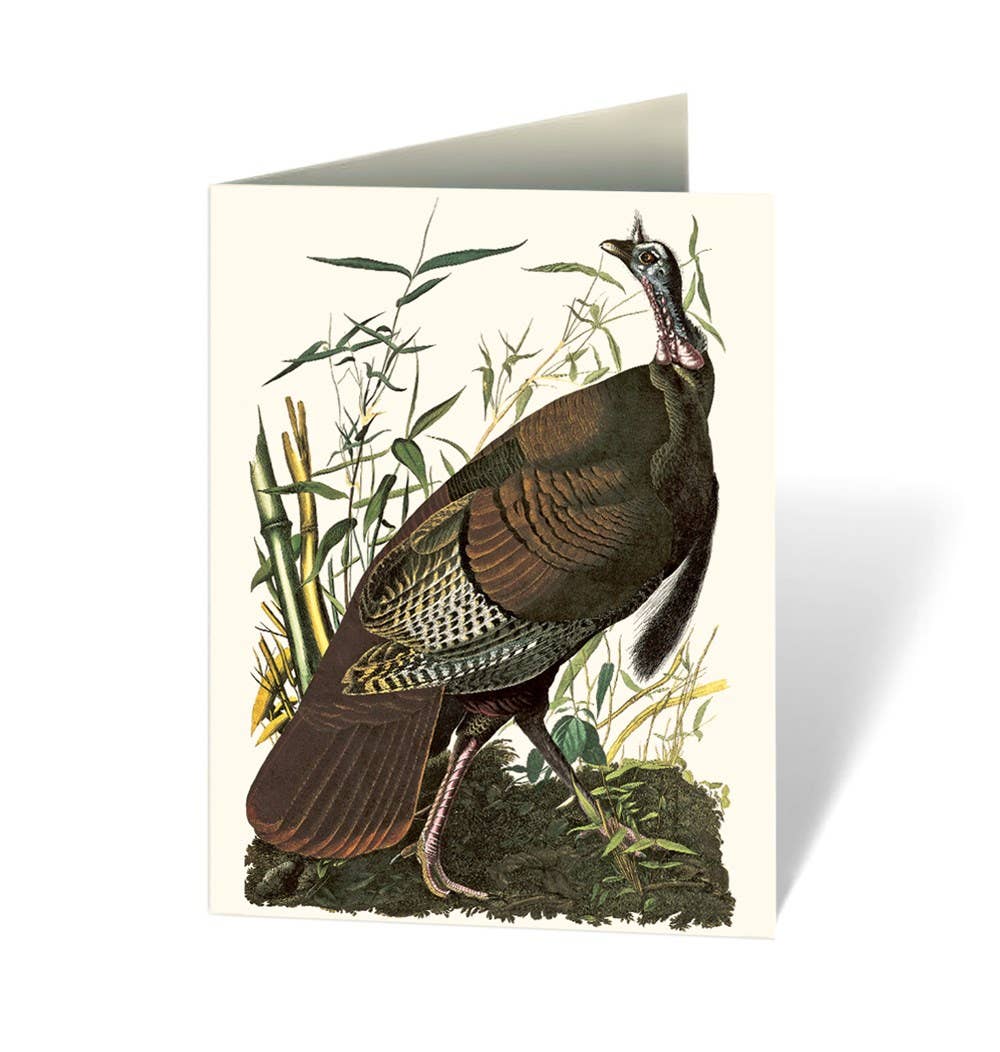 Audubon's Birds of America Notecard Set