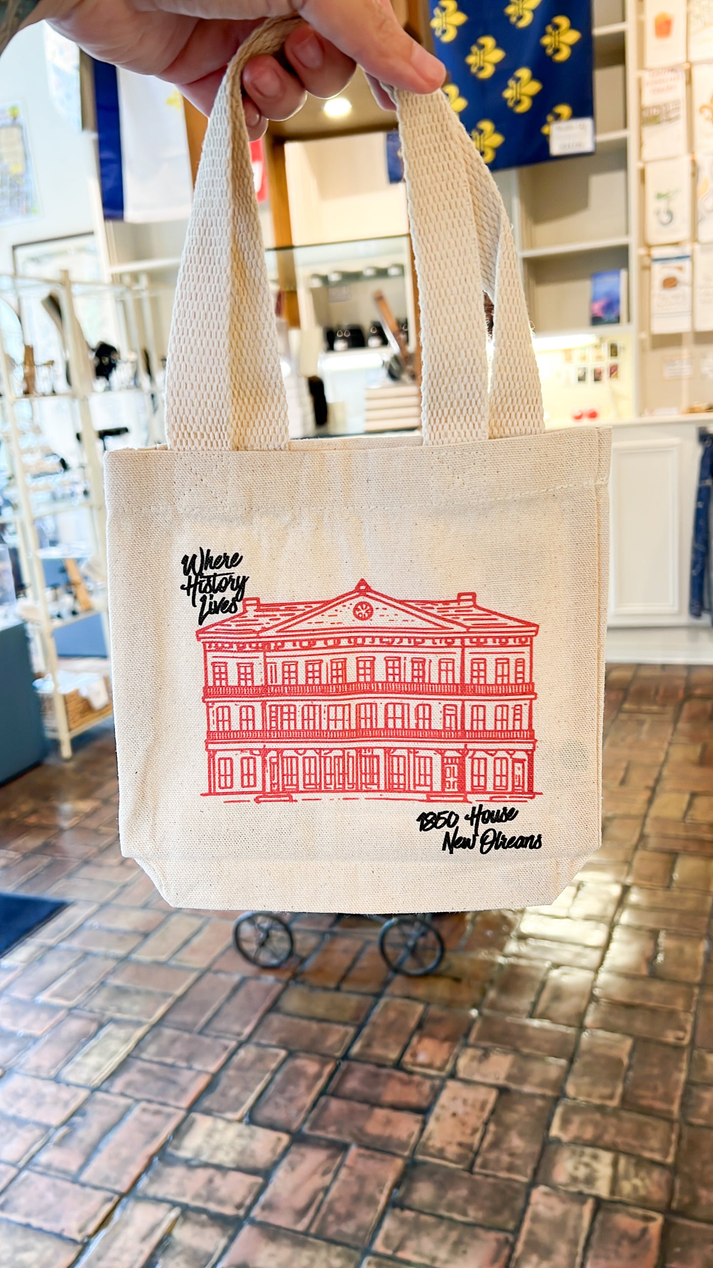 Where History Lives Mini Canvas Tote