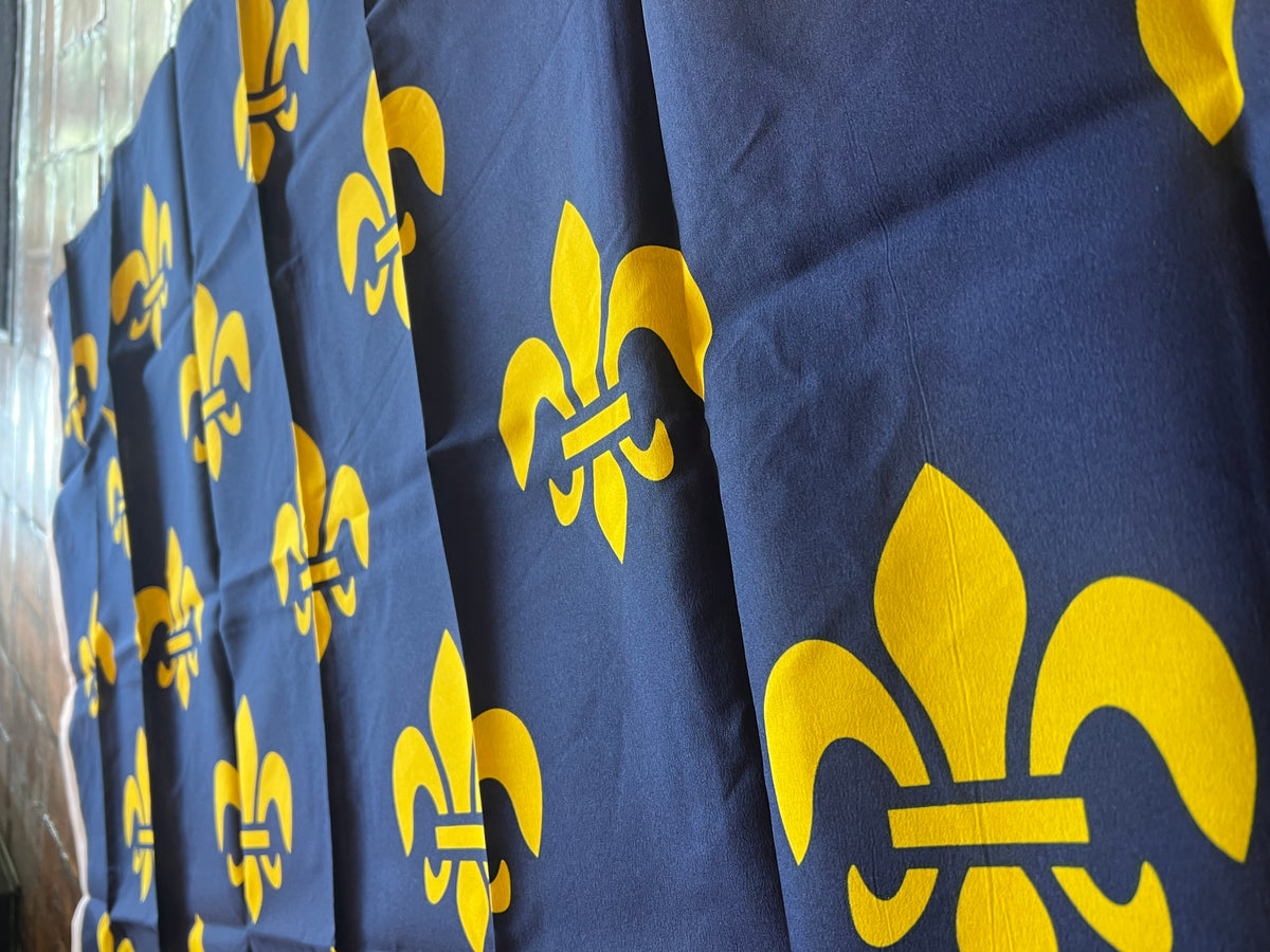 Bandera de lirio borbón