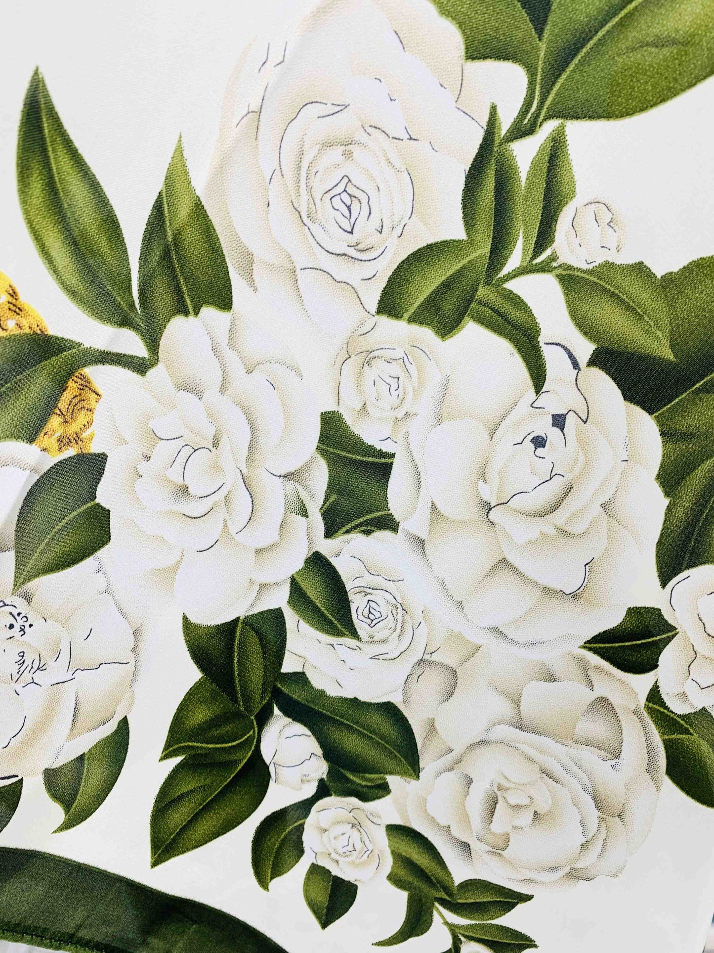 Illustration of white flowers with green leaves on a white background