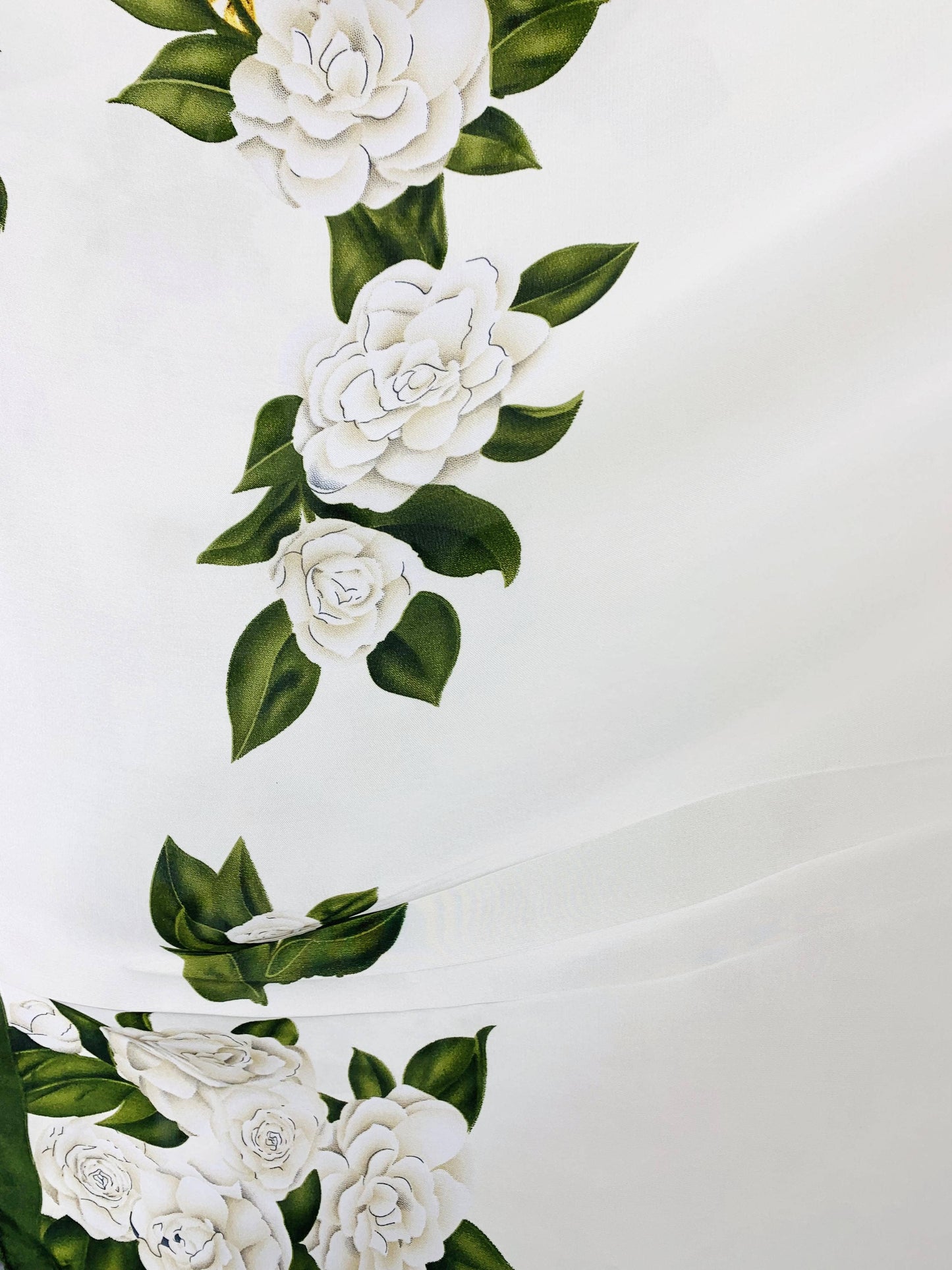 White flowers with green leaves on a white background