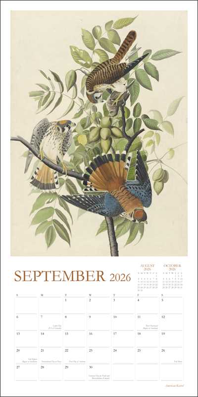 Audubon's Watercolors 2026 Wall Calendar