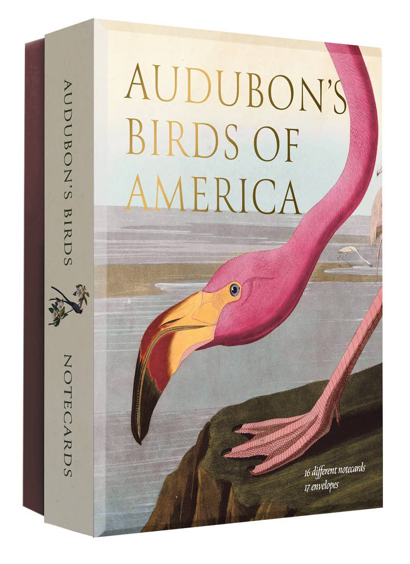 Audubon's Birds of America Notecard Set