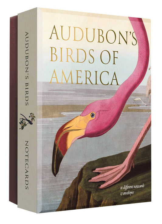 Audubon's Birds of America Notecard Set