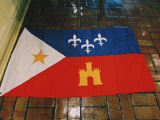 Acadian Flag. The silver fleur-de-lis on the blue field represents their French heritage. The gold star on the white background respresents the Virgin Mary, patron saint of the Acadians. So this flag is identified with Acadians who migrated to Louisiana. Louisiana made this flag the offical flag of the Acadiana area in 1974.
