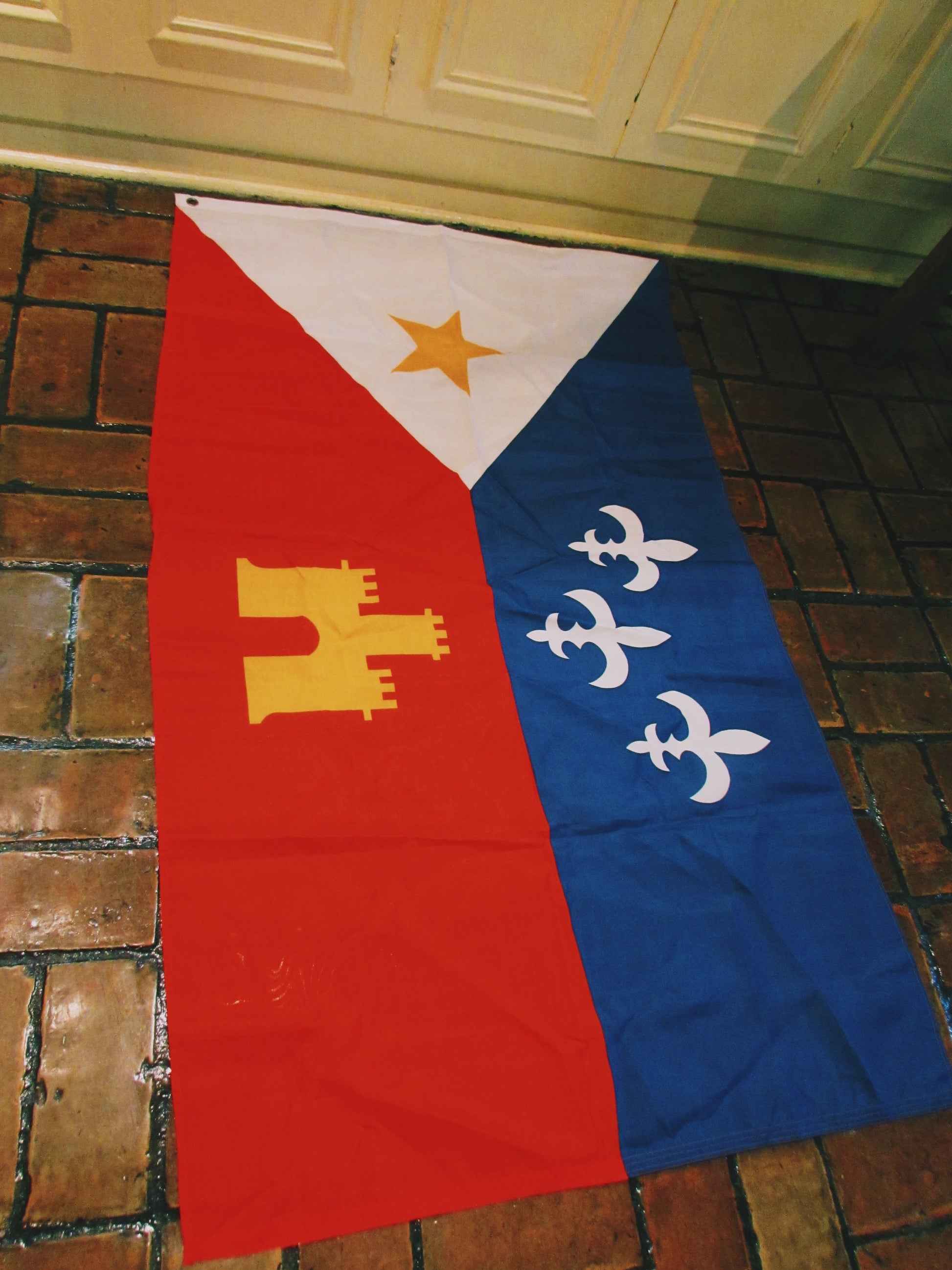 The silver fleur-de-lis on the blue field represents their French heritage. The gold star on the white background respresents the Virgin Mary, patron saint of the Acadians. So this flag is identified with Acadians who migrated to Louisiana. Louisiana made this flag the offical flag of the Acadiana area in 1974.