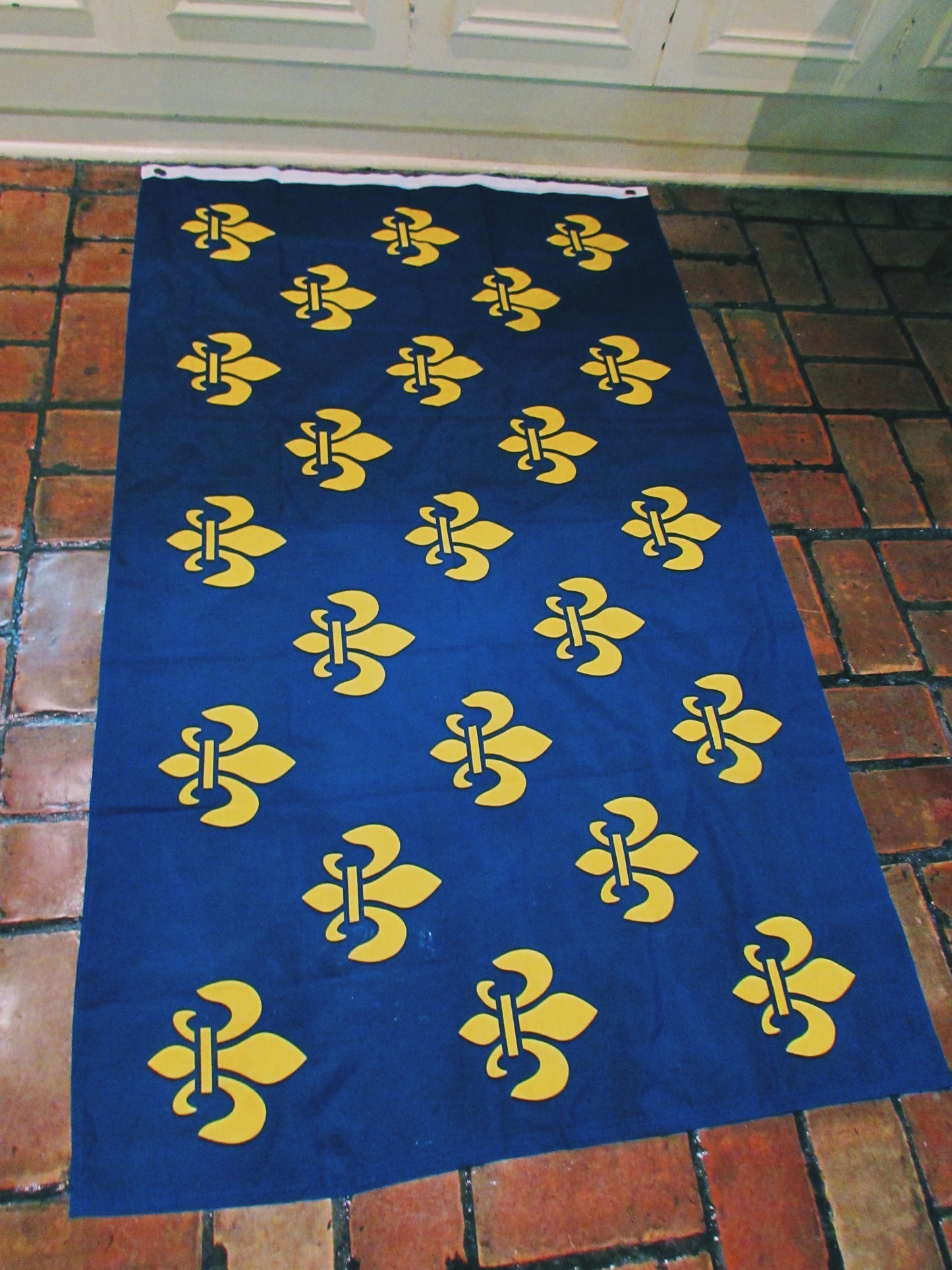 Bourbon Lily Flag. The fleur-de-lis is a stylized lily (in French, fleur means "flower", andlis means "lily") that is used as a decorative design or symbol.     3x5ft flag has header tape and 2 metal grommets Flag is dye-sublimated with beautiful bold colors. Printed on one side all the way through the fabric.  Double-stitched around all edges with 4 rows of stitching on fly edge.