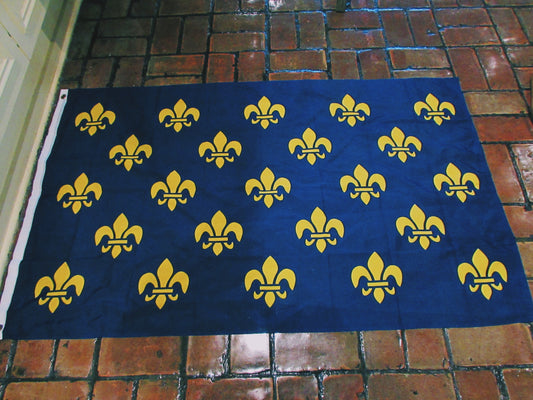 Bourbon Lily Flag The fleur-de-lis is a stylized lily (in French, fleur means "flower", andlis means "lily") that is used as a decorative design or symbol.     3x5ft flag has header tape and 2 metal grommets Flag is dye-sublimated with beautiful bold colors. Printed on one side all the way through the fabric.  Double-stitched around all edges with 4 rows of stitching on fly edge.