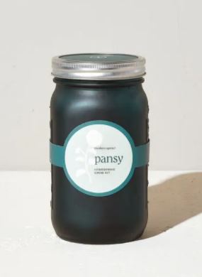 Pansy - Garden Jar